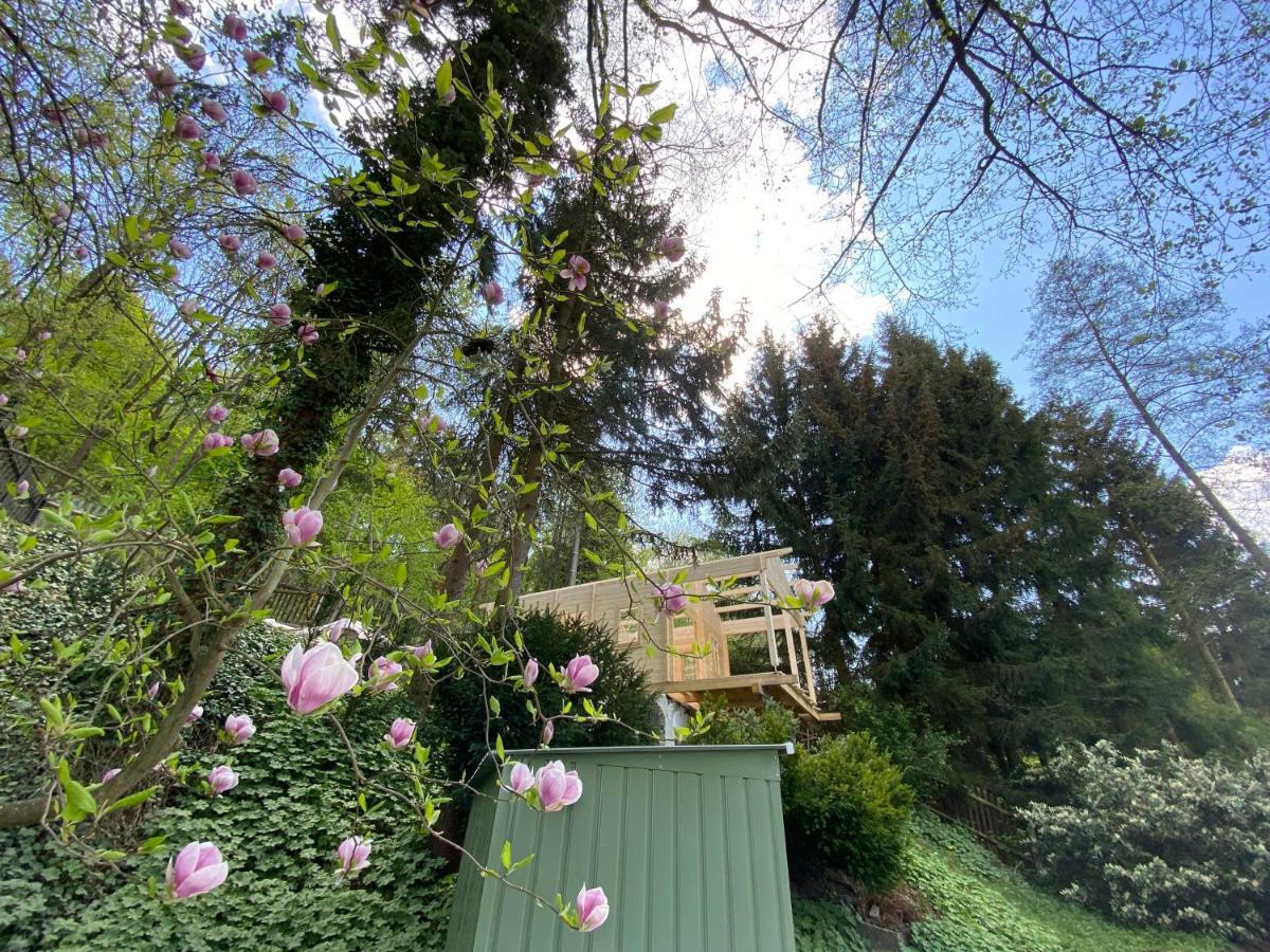 فيلا Residenz Waldfrieden Garnsdorf المظهر الخارجي الصورة